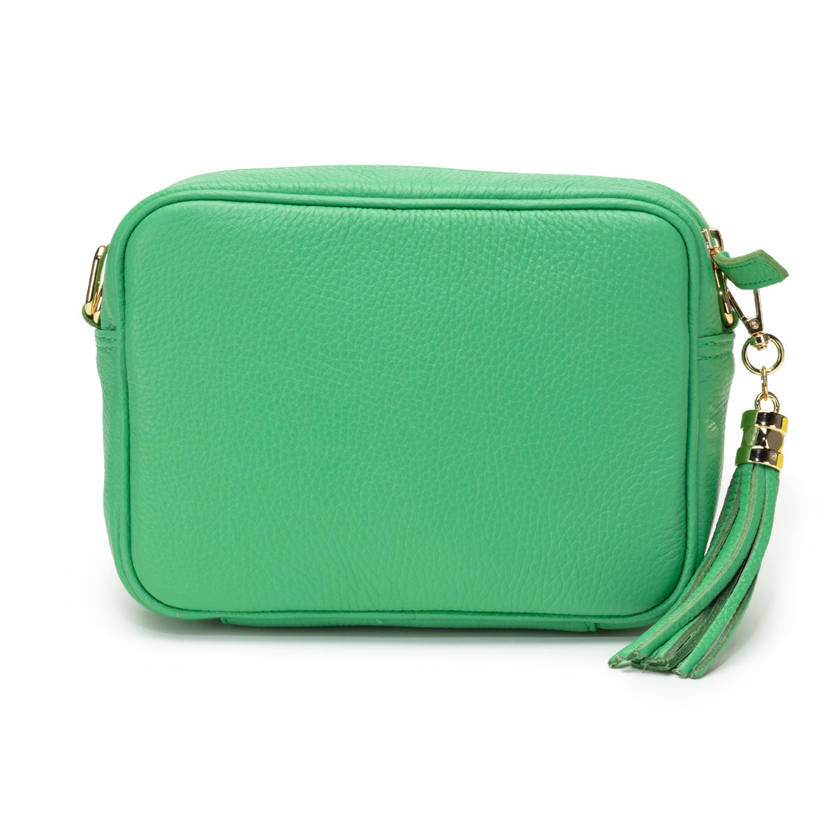 Full frontal Image of a Pistachio Green Leather Crossbody Tassel Bag for Women by Elie Beaumont