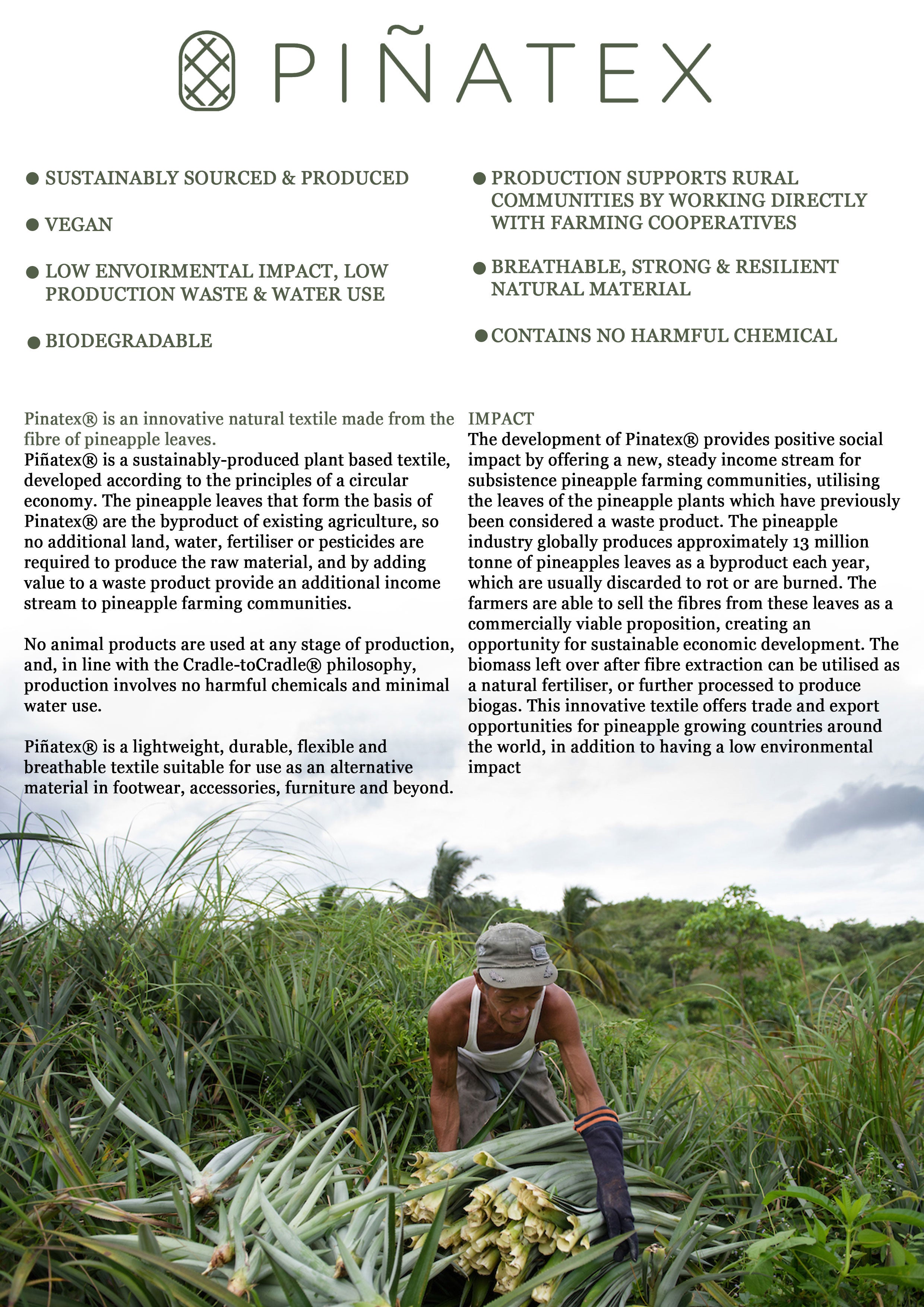 Vegan Oxford Large Grey Dial/Cream