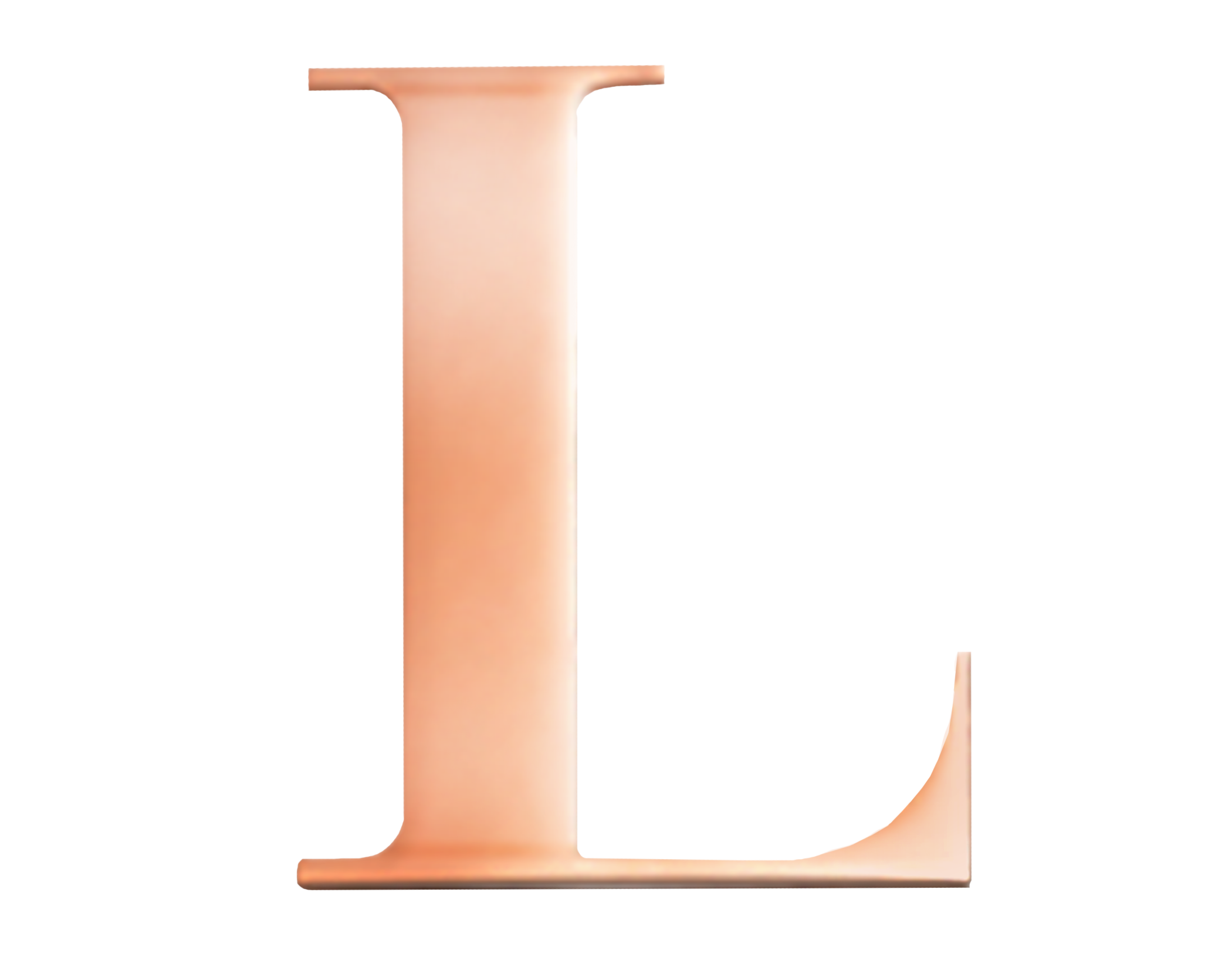 Rose Steel Initial L