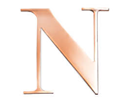 Rose Steel Initial N
