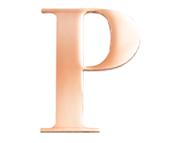 Rose Steel Initial P