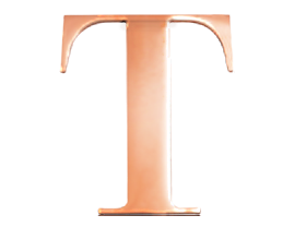 Rose Steel Initial T