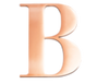 Rose Steel Initial B