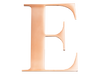 Rose Steel Initial E