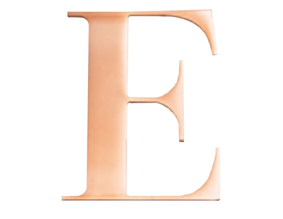 Rose Steel Initial E
