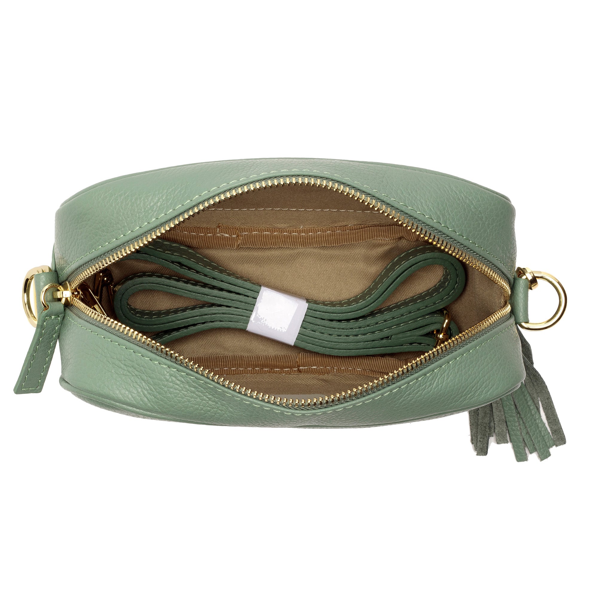 Crossbody Mint (Python Strap)