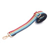 Crossbody strap - Rainbow
