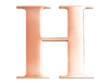 Rose Steel Initial H