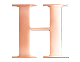 Rose Steel Initial H