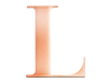 Rose Steel Initial L