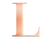 Rose Steel Initial L