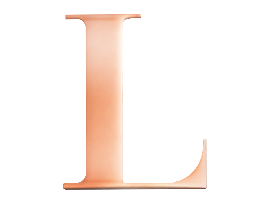 Rose Steel Initial L
