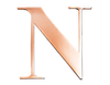 Rose Steel Initial N