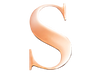 Rose Steel Initial S