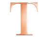 Rose Steel Initial T
