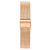 Small Mesh Rosegold Strap